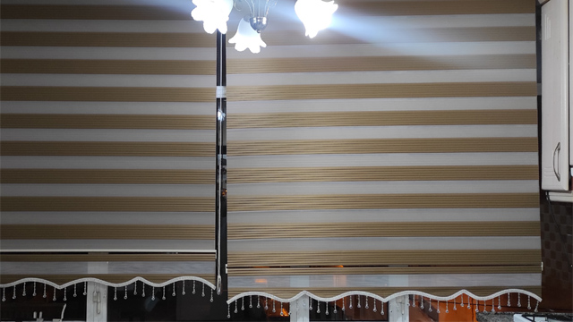En güzel zebra stor